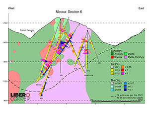 Cross Section 6 